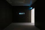 <p>Monika Marklinger, <em>Why does anybody bother to paint?</em>, 2013<br>Installationsansicht der Videoarbeit im Moderna Museet Malmö, 2013</p>